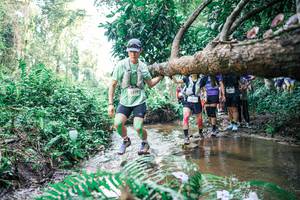 BIB: 
                            <button type="button" onclick="openModal(25472183)" class="btn btn-primary btn-sm float-right btn-popup" data-toggle="modal" data-target=".modal-high-quality">
                        <i class="fas fa-shopping-cart"></i> Add to Cart
                    </button>
                                            <button type="button" onclick="isThisMe(25472183, true)" class="btn btn-success btn-sm float-right btn-popup btn-isme hidden" data-toggle="tooltip" data-placement="bottom" title="นี่คือรูปของคุณใช่ไหม คลิกที่นี่เพื่อเอาเข้าอัลบั้ม">
                        <i class="fas fa-plus"></i> Add to album
                    </button>
                    <button type="button" onclick="isThisMe(25472183, false)" class="btn btn-warning btn-sm float-right btn-popup btn-isnotme hidden">
                        <i class="fas fa-ban"></i> Remove from album
                    </button>